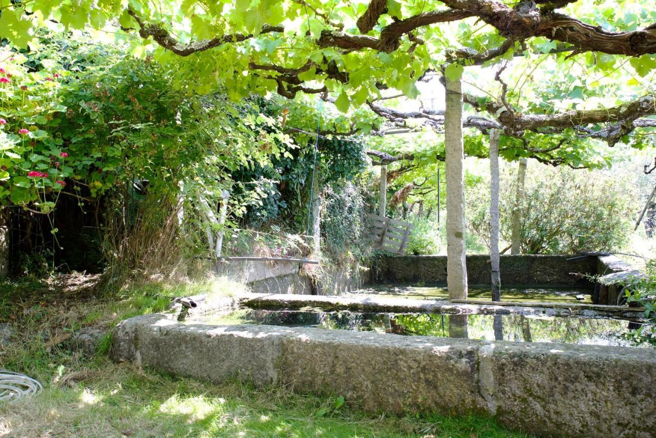 Quinta De S. Cipriano Villa เรเซนด์ ภายนอก รูปภาพ