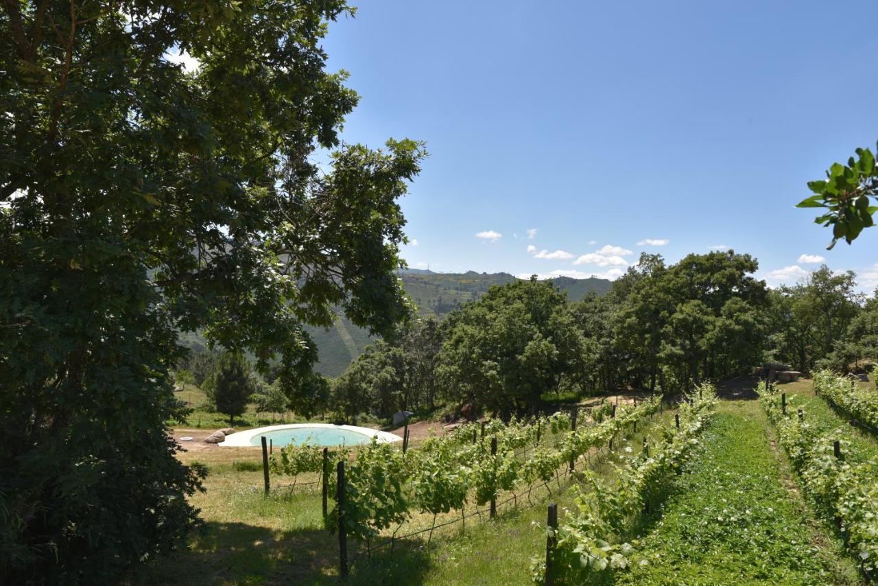 Quinta De S. Cipriano Villa เรเซนด์ ภายนอก รูปภาพ